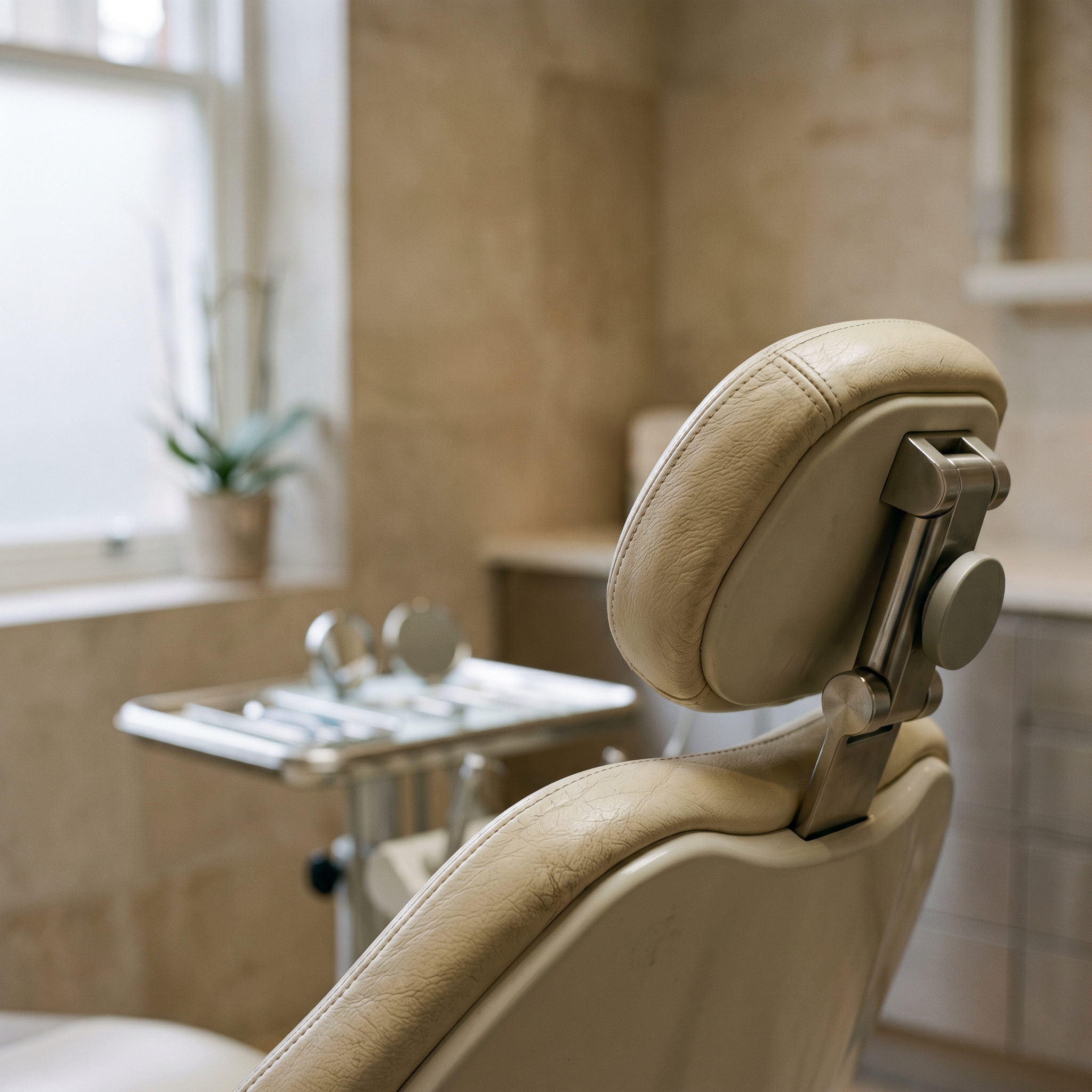 A dental chair headrest in soft morning light.